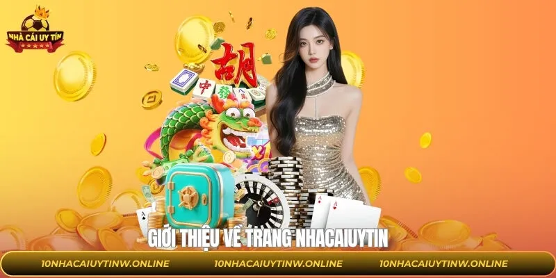 Khám phá về trang thông tin