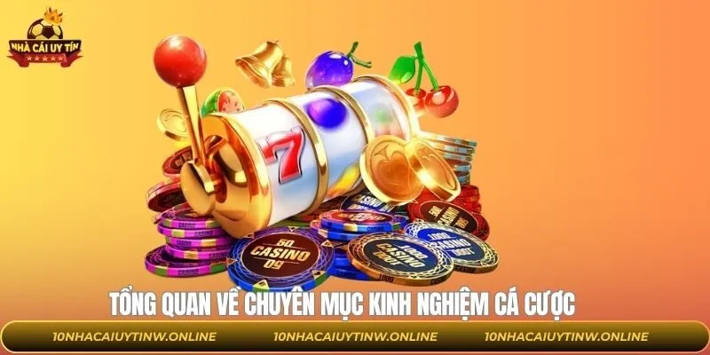 Tổng quan về cẩm nang cá cược